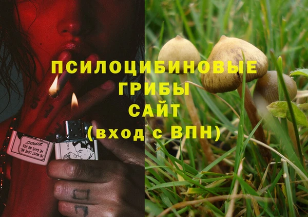 таблы Алзамай