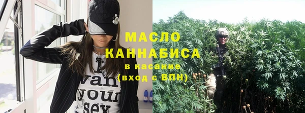 мет Алексин