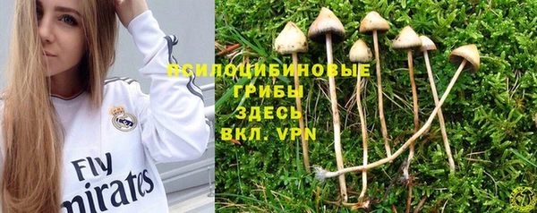 мет Алексин