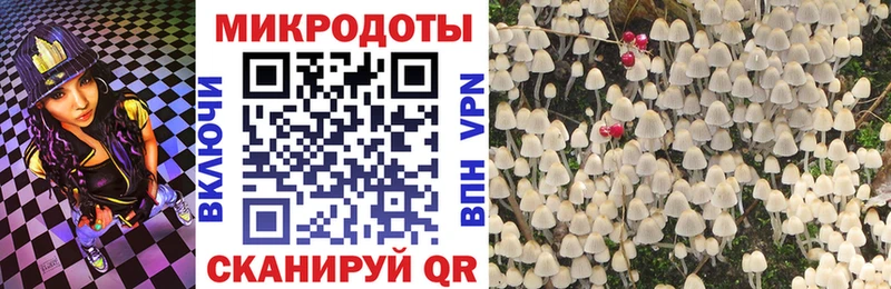 магазин  наркотиков  Сосенский  OMG зеркало  Галлюциногенные грибы Cubensis 